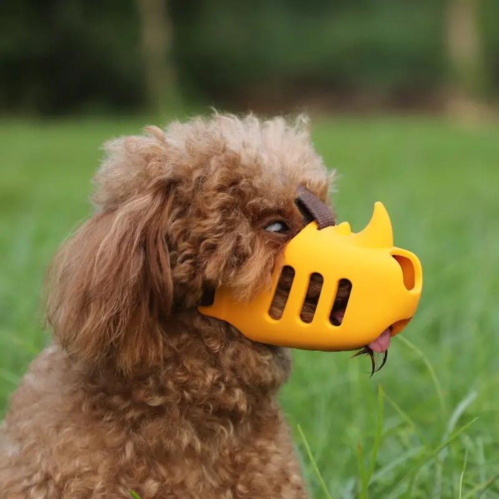 Adjustable Dog Muzzle | Breathable Mesh | Adjustable Straps & Secure Buckle | Comfortable Fit