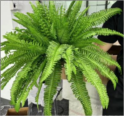 Artificial Boston Fern | Lifelike Cascading Foliage | UV-Resistant | Indoor & Outdoor Display