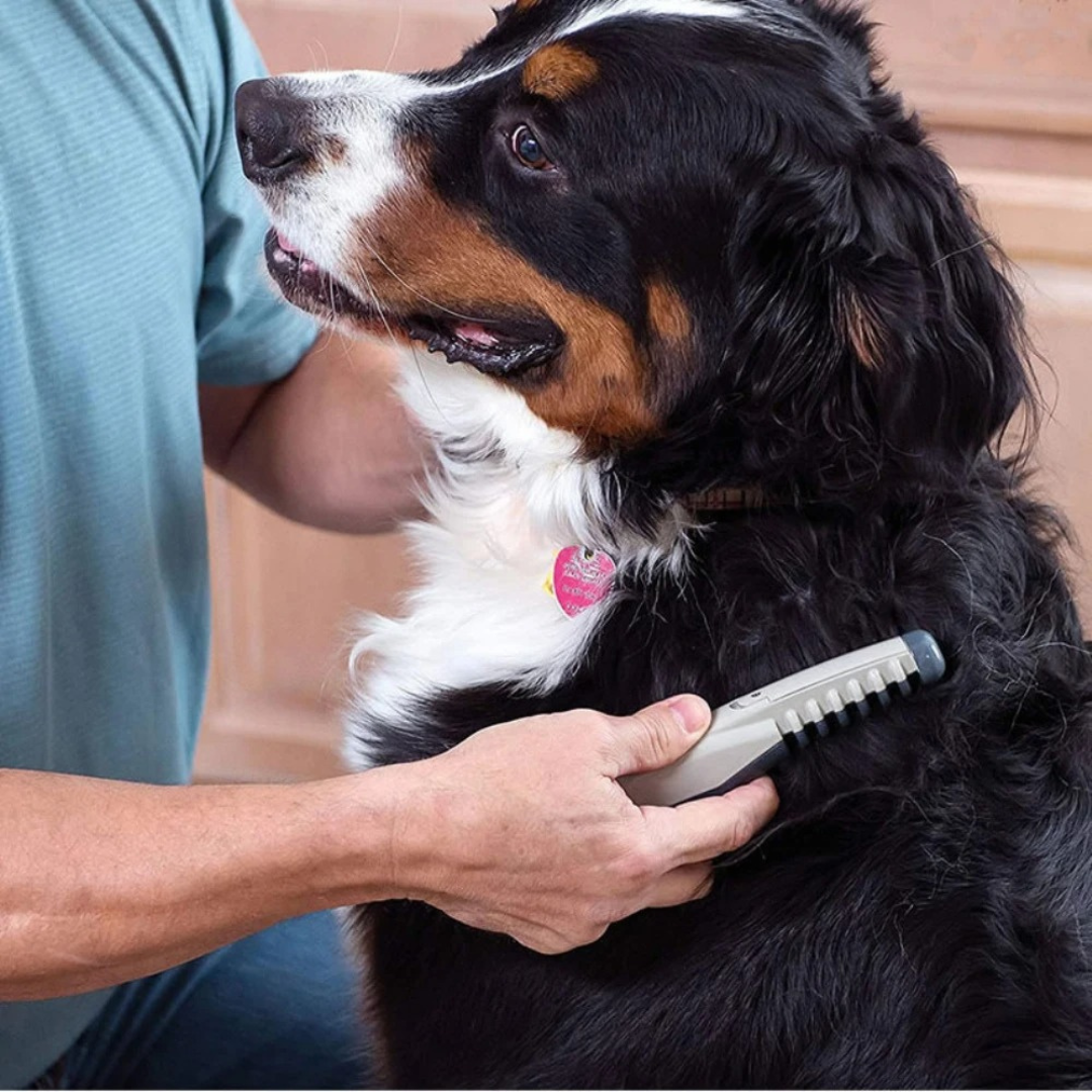 Cat & Dog Dematting Trimmer | Gentle No-Pull Glide | Stainless Steel Blades, Easy-Clean
