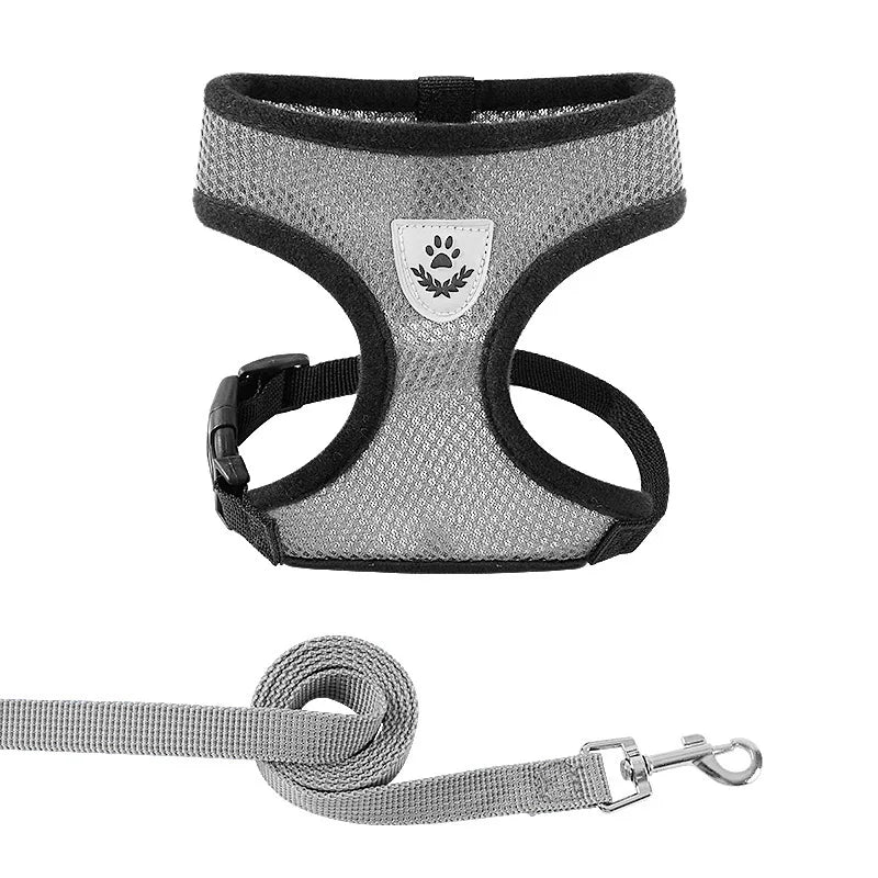 Cat & Small Dog Harness & Leash | Adjustable Breathable Mesh Vest | Up to 16.5 lb
