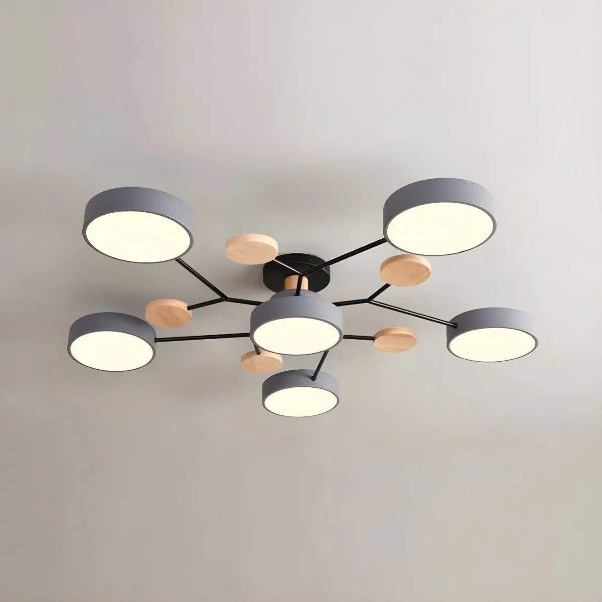 Ceiling Light | Dimmable & Color-Changing | Multi-Point 4-7 Lights | Modern Living Room