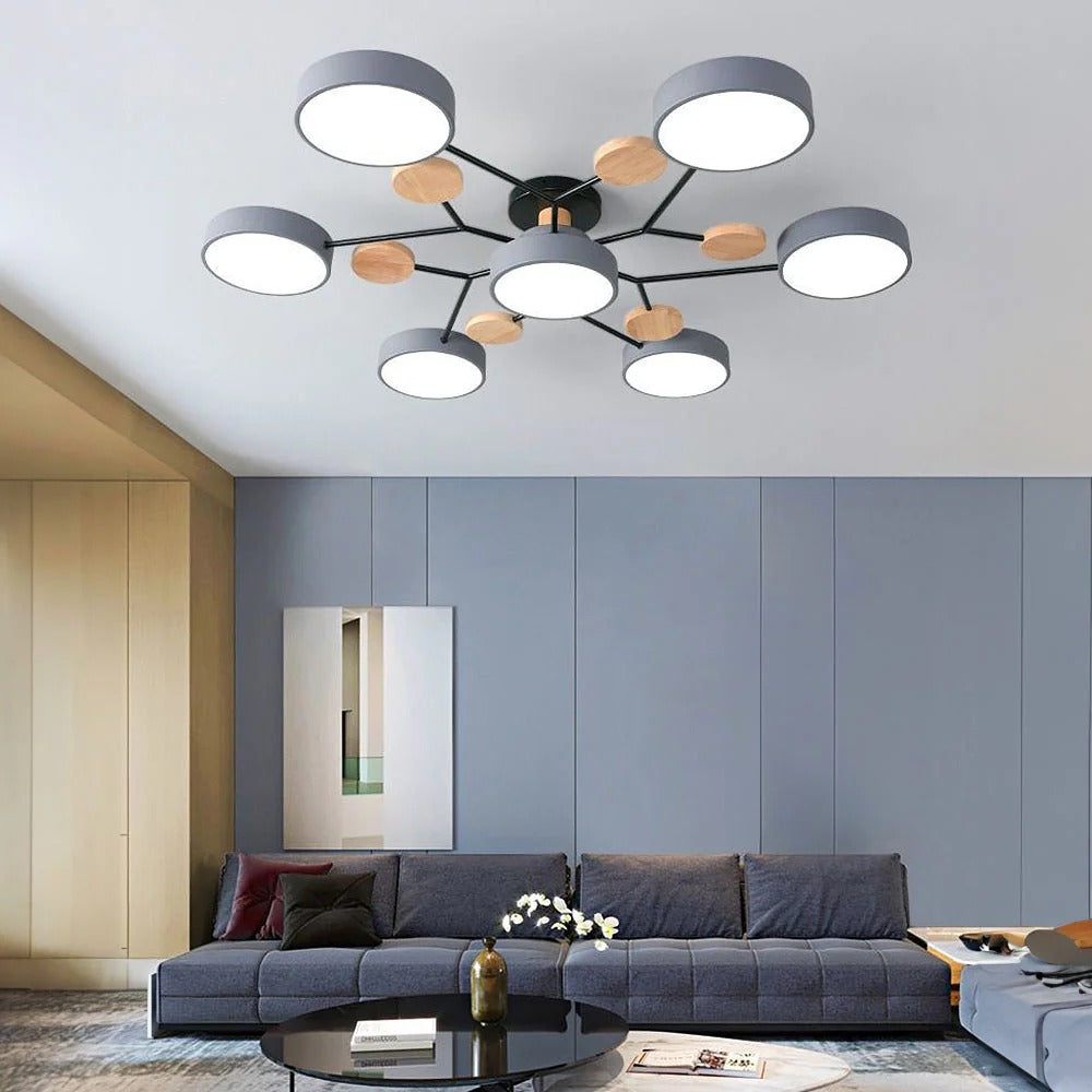 Ceiling Light | Dimmable & Color-Changing | Multi-Point 4-7 Lights | Modern Living Room