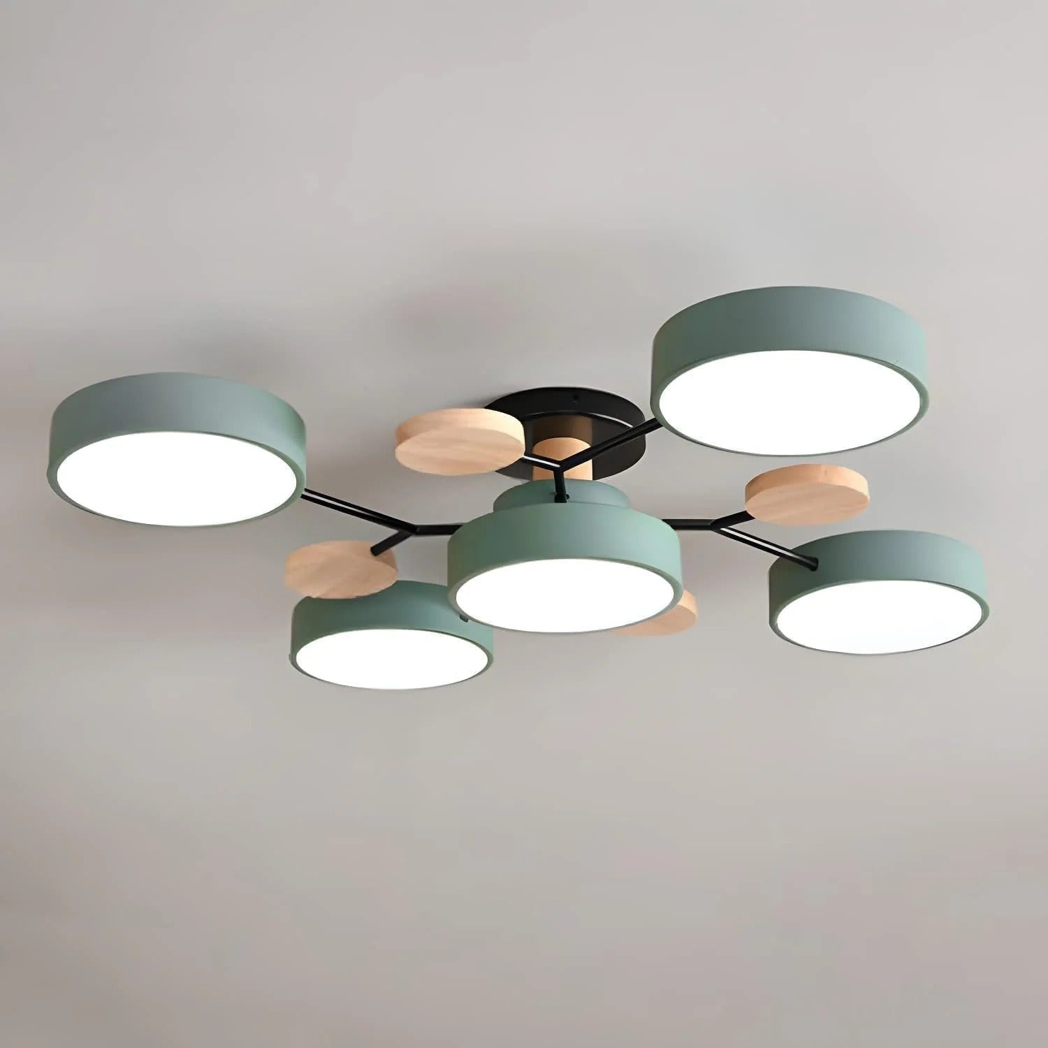 Ceiling Light | Dimmable & Color-Changing | Multi-Point 4-7 Lights | Modern Living Room