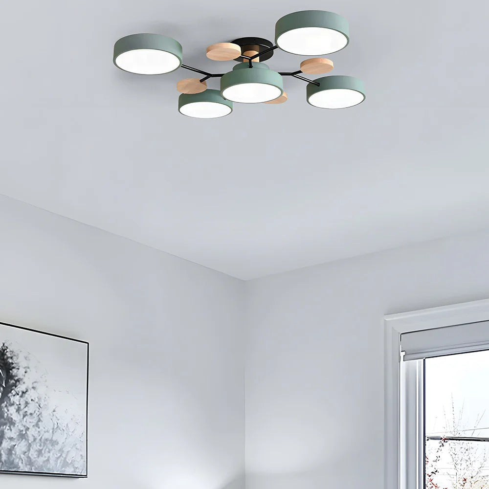 Ceiling Light | Dimmable & Color-Changing | Multi-Point 4-7 Lights | Modern Living Room