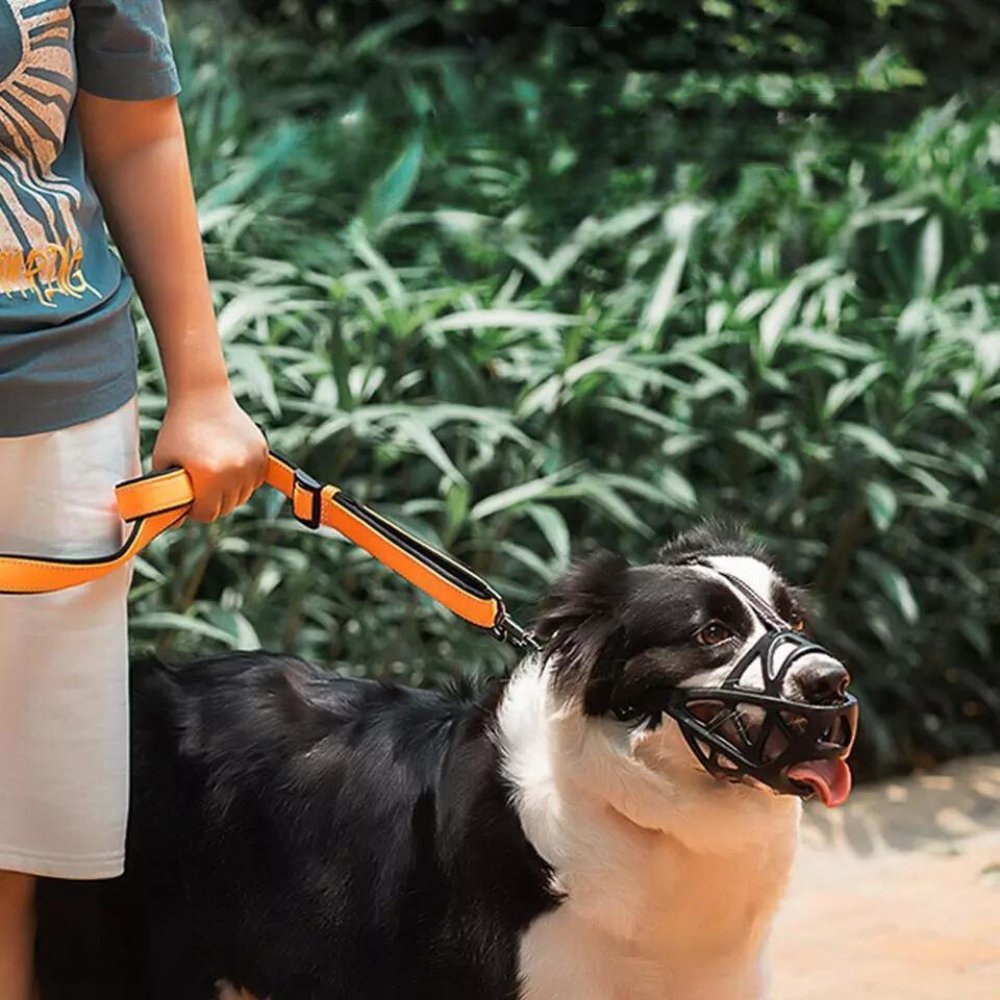 Dog Muzzle | Anti-Bite & Anti-Bark Design | Breathable Soft Fabric | Comfortable Fit