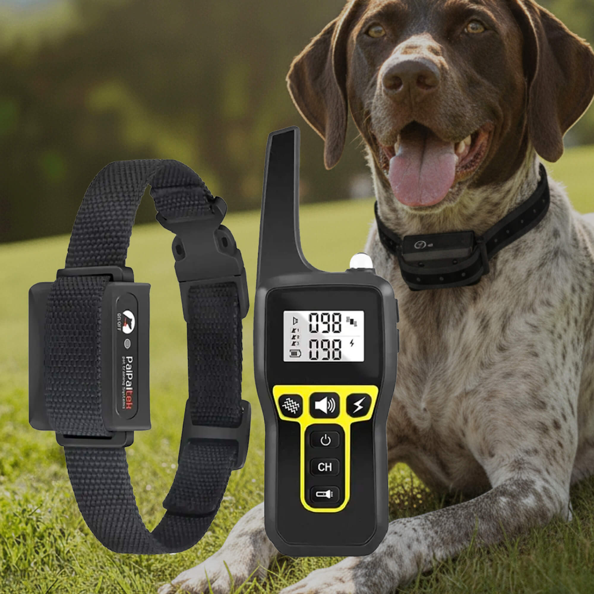 Dog Training Collar | 1000m Remote Range | Adjustable Reflective Nylon | Waterproof & Rechargeable