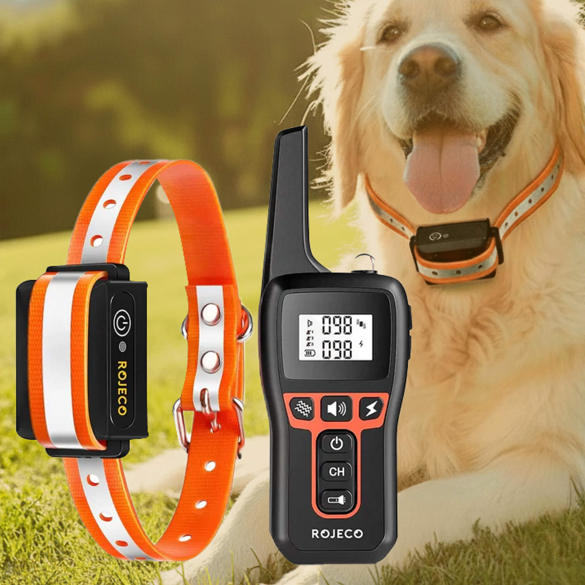 Dog Training Collar | 1000m Remote Range | Adjustable Reflective Nylon | Waterproof & Rechargeable