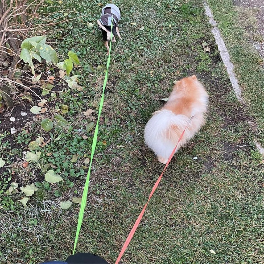 Dual Dog Leash | Tangle-Free Swivel Design | Durable Lightweight Construction | Comfortable Control