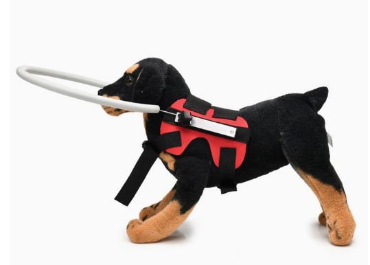 Halo Collar for Blind Dogs | Guiding Ring | Adjustable & Harness Compatible | Calmer Walks