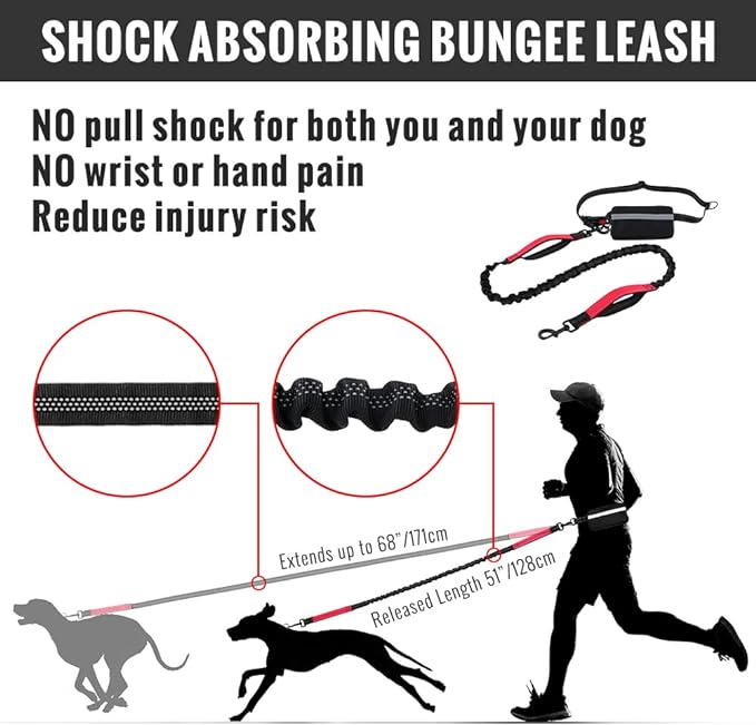 Hands-Free Dog Leash | Shock-Absorbing Bungee | Adjustable Hip Belt with Pockets | Comfortable Fit