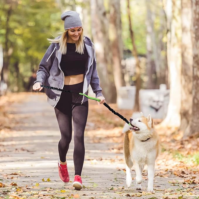 Hands-Free Dog Leash | Shock-Absorbing Bungee | Adjustable Hip Belt with Pockets | Comfortable Fit