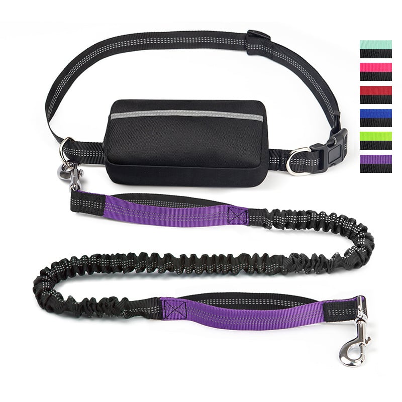 Hands-Free Dog Leash | Shock-Absorbing Bungee | Adjustable Hip Belt with Pockets | Comfortable Fit