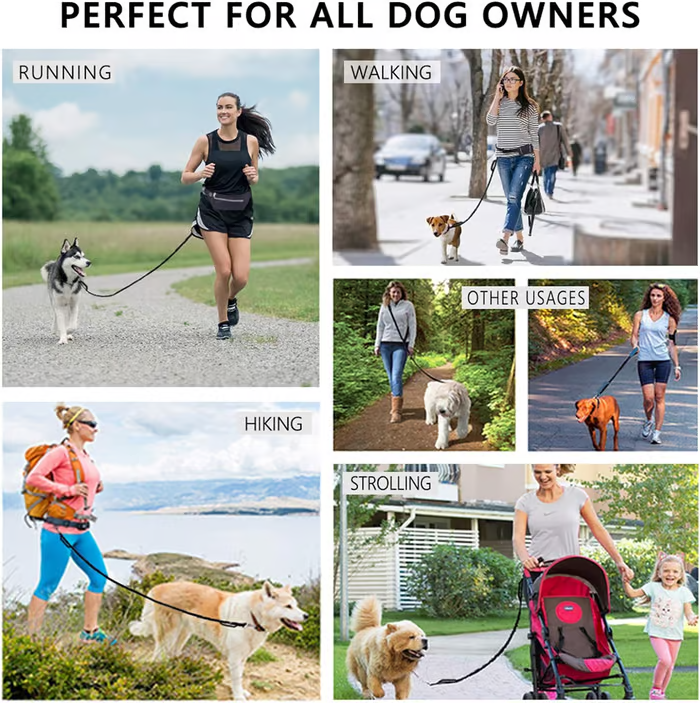 Hands-Free Dog Leash | Shock-Absorbing Bungee | Adjustable Hip Belt with Pockets | Comfortable Fit