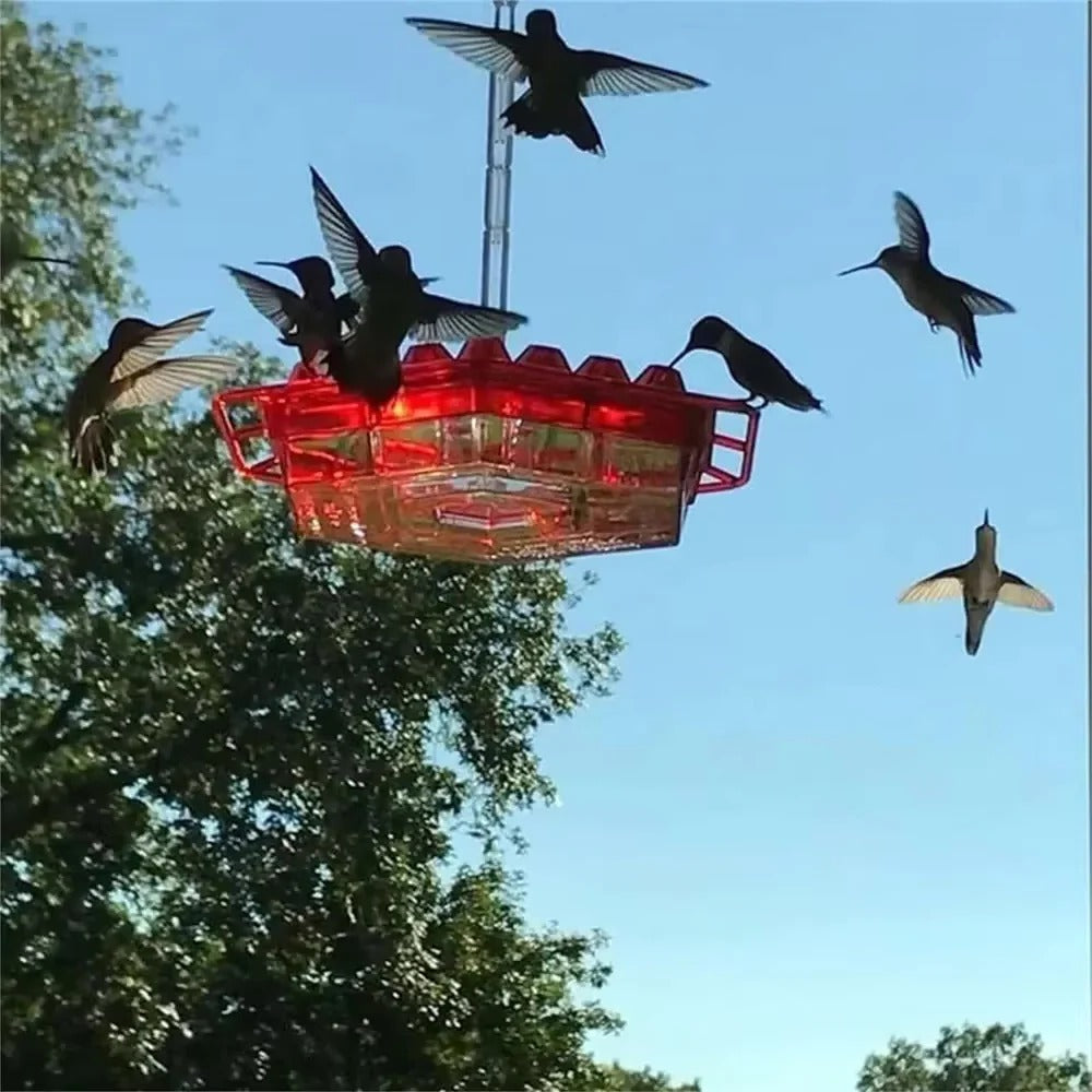 Hummingbird Feeder Hanging | Ant-Proof Moat | 30 Feeding Ports | Shatterproof Outdoor