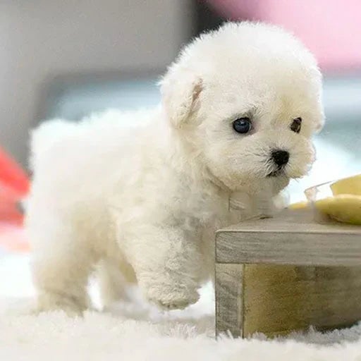 Interactive Robotic Puppy Toy | Lifelike Movements & Sounds | Soft Faux Fur
