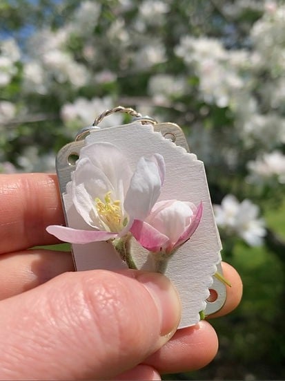 Mini Flower Press | Handcrafted Silver & Brass | 10 Reusable Blotter Sheets | Travel Size