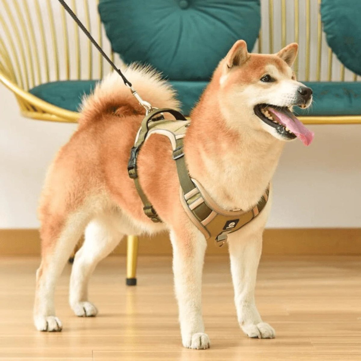 No-Pull Dog Harness | Front-Clip Control | Breathable Padded Chest | Night Visibility