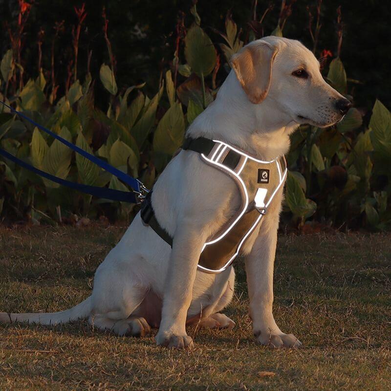 No-Pull Dog Harness | Front-Clip Control | Breathable Padded Chest | Night Visibility