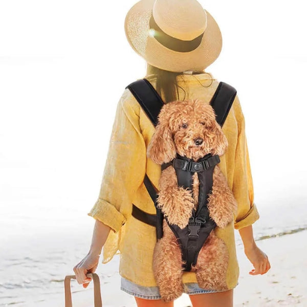 Pet Carrier for Dogs & Cats | Waterproof & Breathable | Adjustable Straps & Ergonomic Design