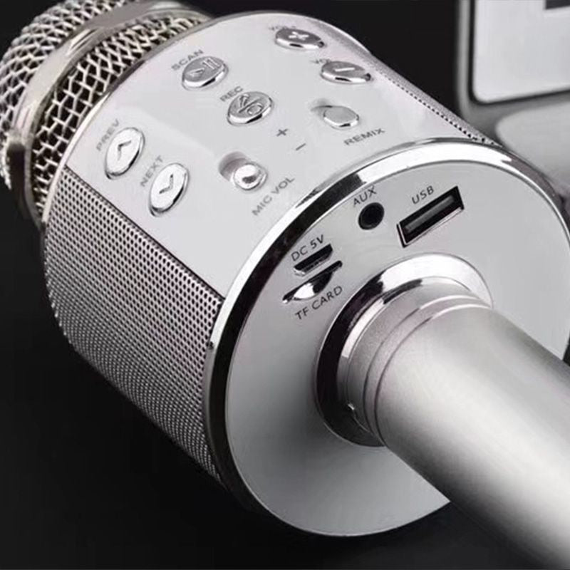 Portable Wireless Karaoke Microphone | Stereo Speakers & Reverb | Bluetooth, AUX & USB Playback