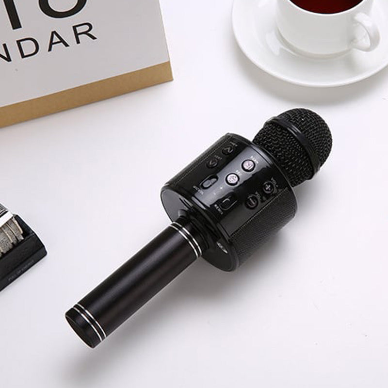 Portable Wireless Karaoke Microphone | Stereo Speakers & Reverb | Bluetooth, AUX & USB Playback