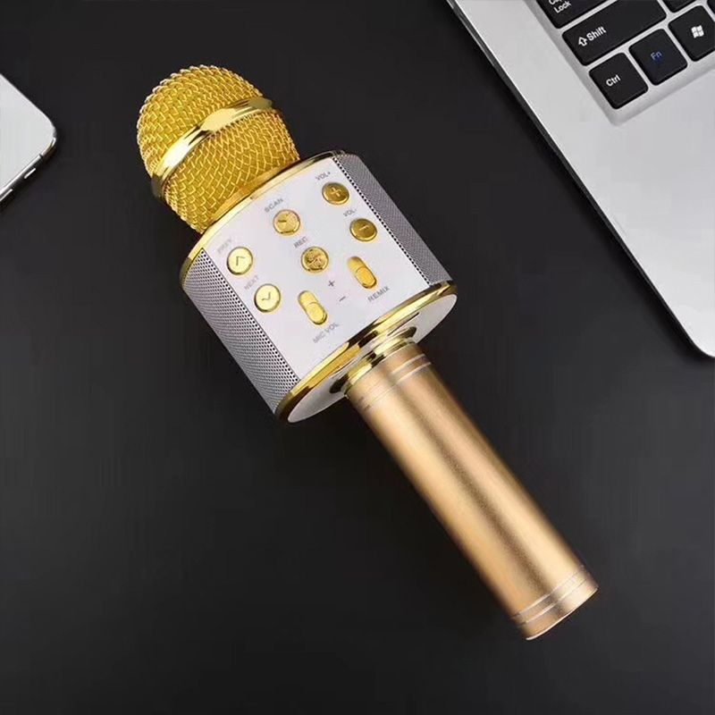 Portable Wireless Karaoke Microphone | Stereo Speakers & Reverb | Bluetooth, AUX & USB Playback