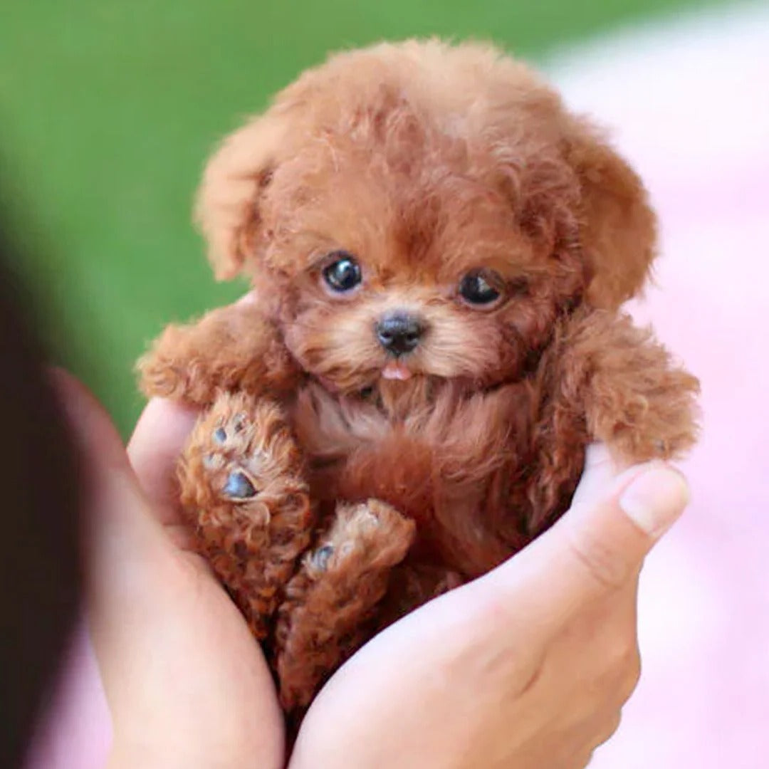 Robotic Puppy Toy | Lifelike Movements & Voice Response | Soft Plush Exterior