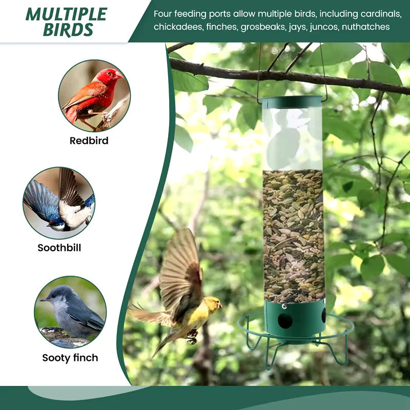 Squirrel-Proof Bird Feeder | Weight-Activated Perch | Metal & Polycarbonate | Weather-Resistant