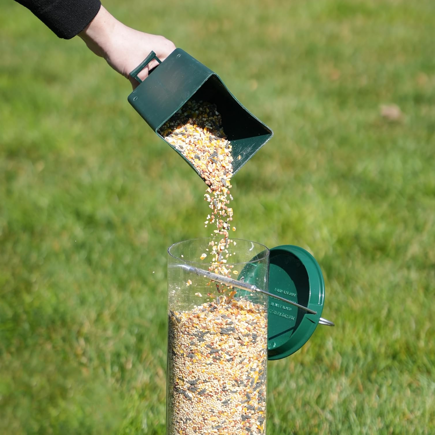 Squirrel-Proof Bird Feeder | Weight-Activated Perch | Metal & Polycarbonate | Weather-Resistant