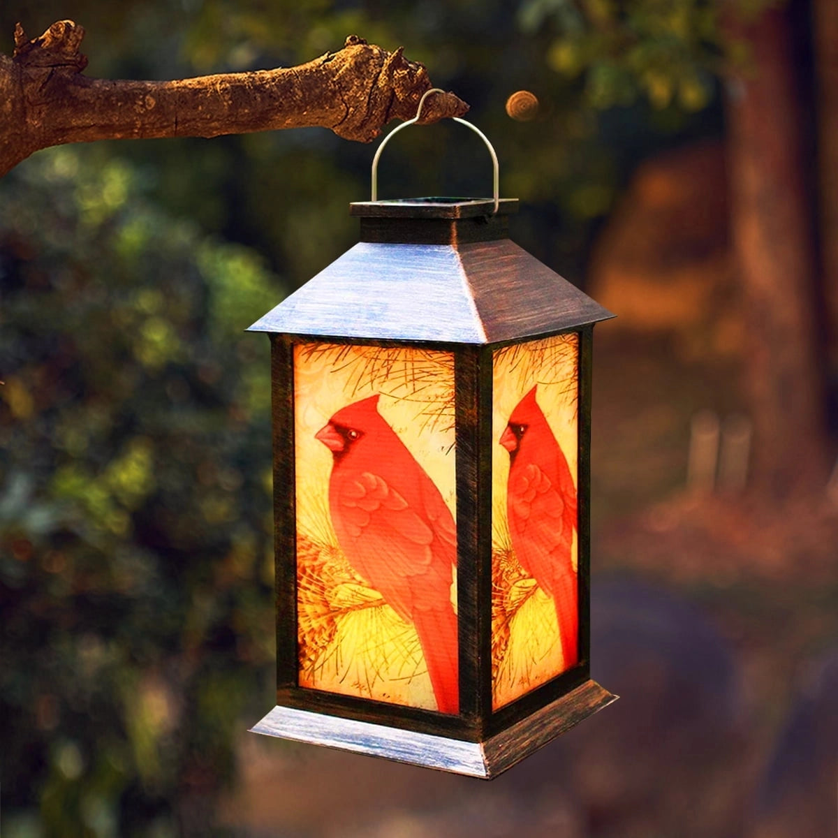 Rustic outdoor hanging lantern featuring a cardinal bird design, ideal for wildlife decor and bird feeding.