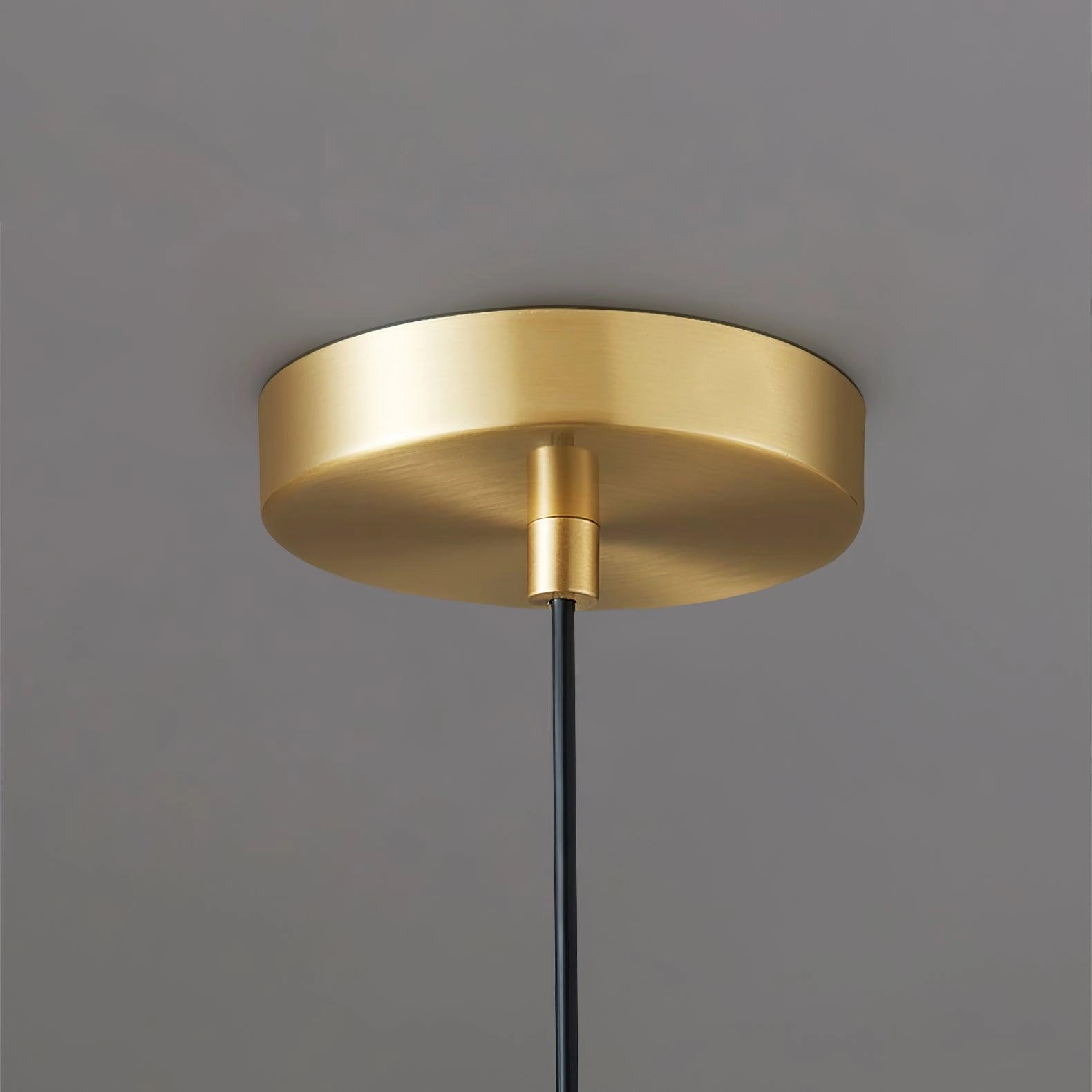Elegant petal glass pendant light with modern LED floral chandelier design, featuring a sleek ceiling fixture and metal accents.