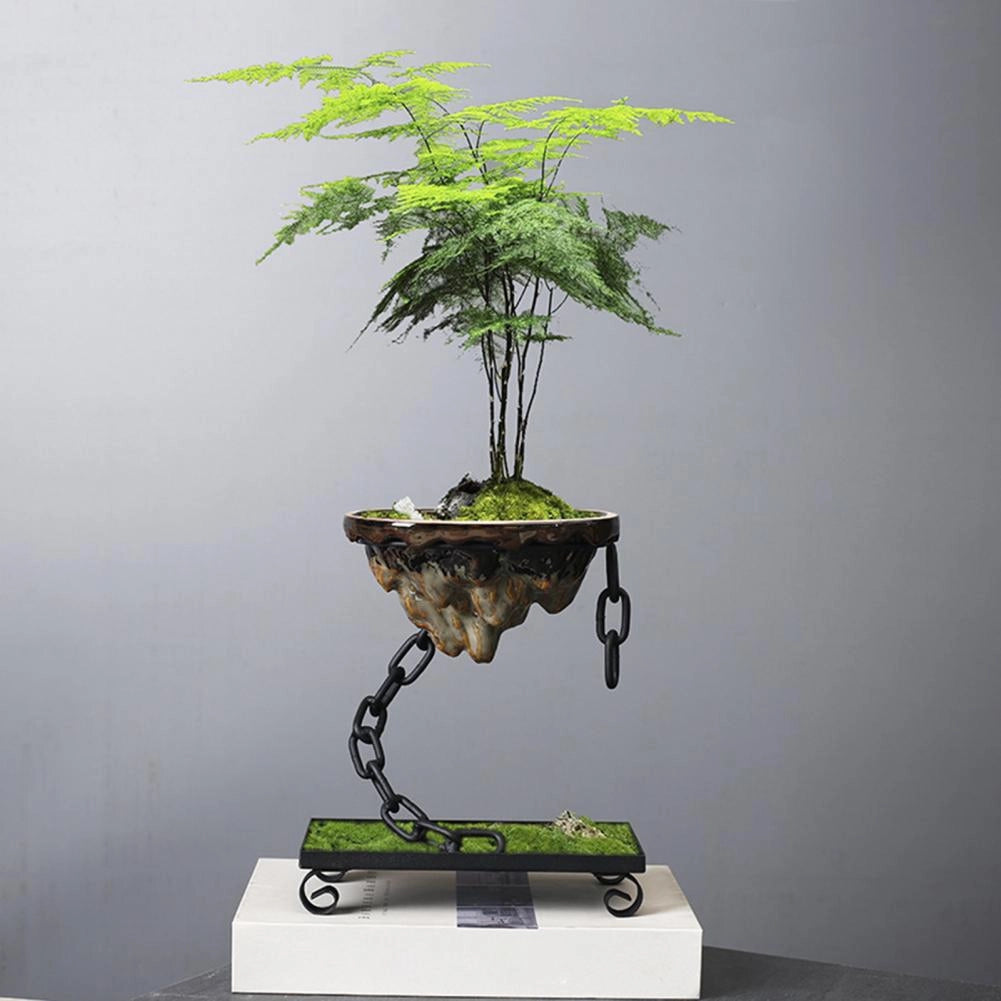 Floating bonsai tree displayed in a magnetic pot, hovering above a circular base, showcasing its leaves and intricate trunk, ideal for adding a touch of Zen garden decor to any space.