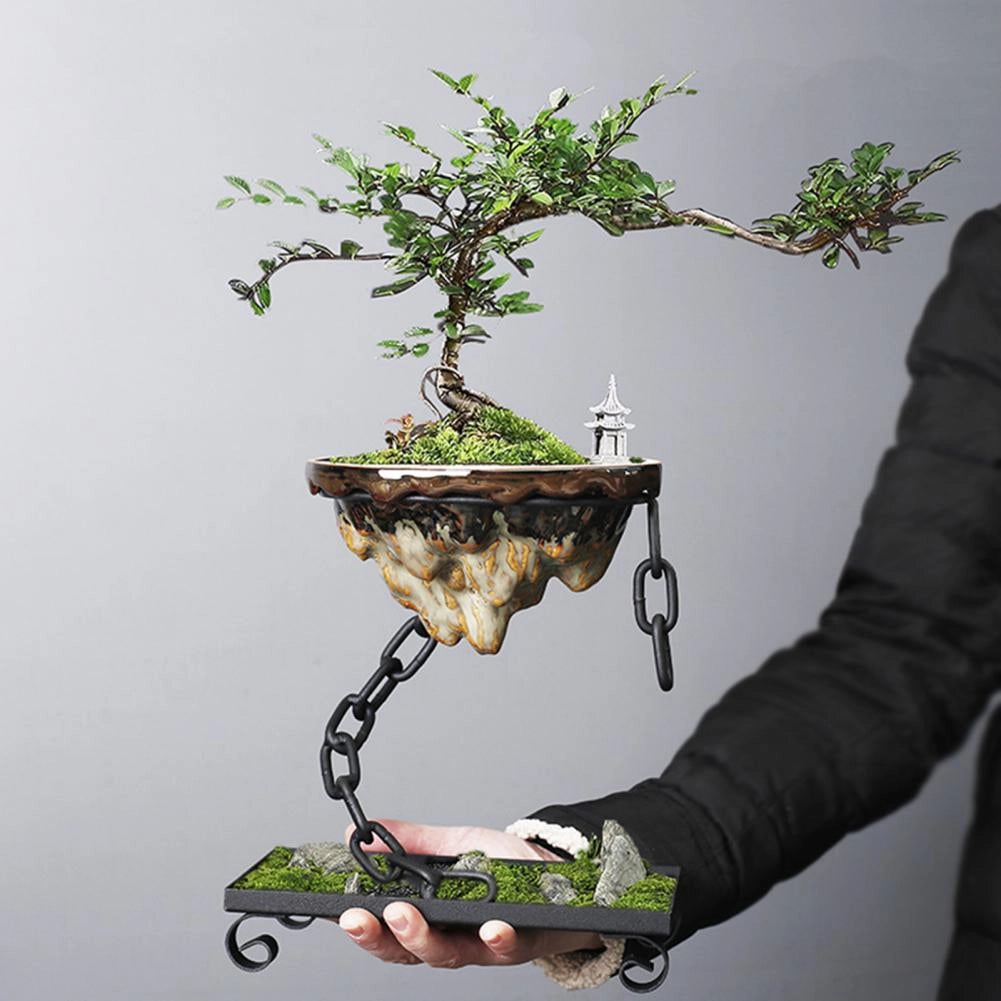 Magnetic floating bonsai tree displayed in a minimalist flowerpot, showcasing a blend of natural botany and modern art, perfect for Zen garden decor.