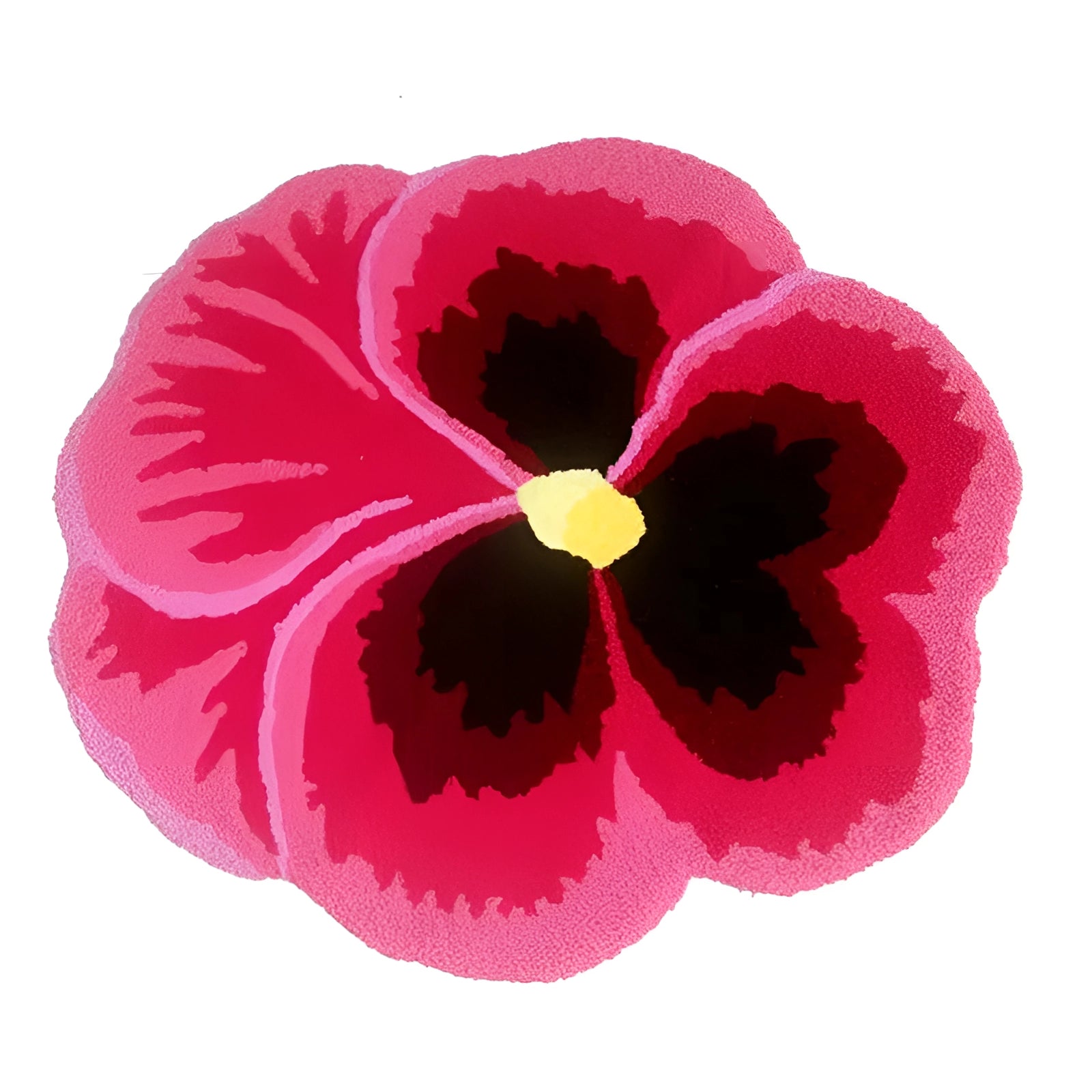 Pink floral rug featuring a vibrant hibiscus design with pansy flower accents, measuring 70 x 68 cm. The rug showcases colorful tropical flowers with magenta petals, adding a creative touch to living room decor.
