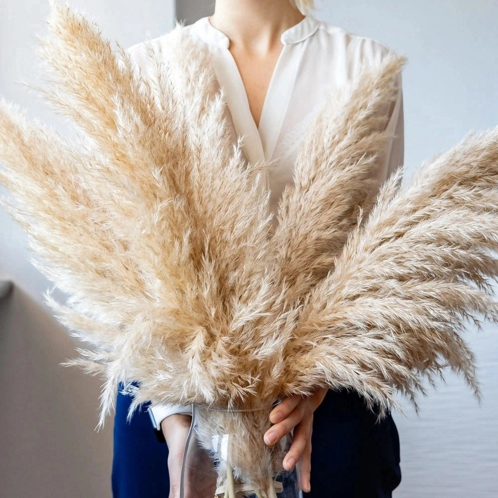 Large dried pampas grass bouquet featuring fluffy white plumes, styled as a boho decor piece and rustic centerpiece.