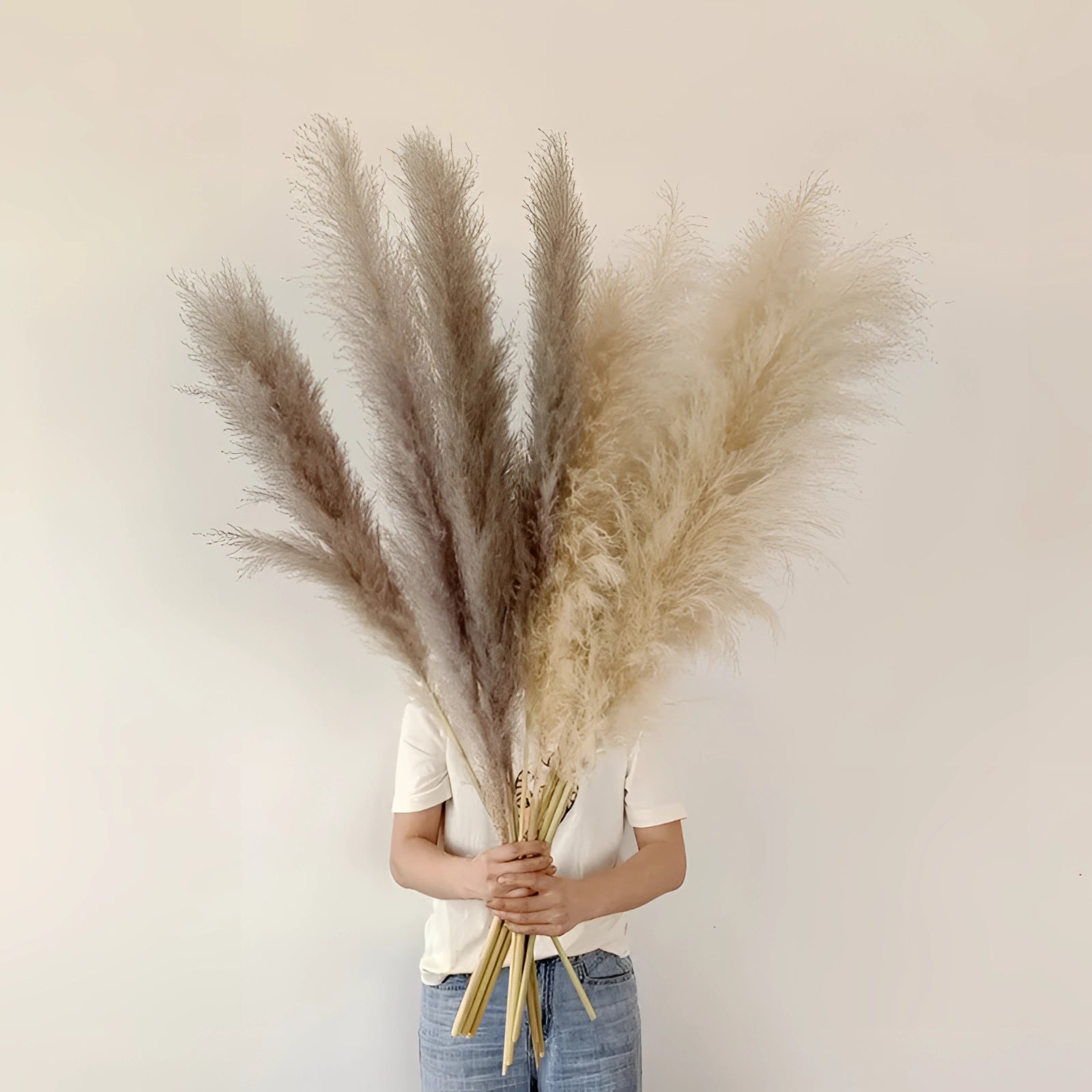 Natural pampas grass stems used for boho chic and rustic home decor, featuring tall, fluffy plumes with a feathery texture and neutral tones suitable for decorative vases or arrangements.