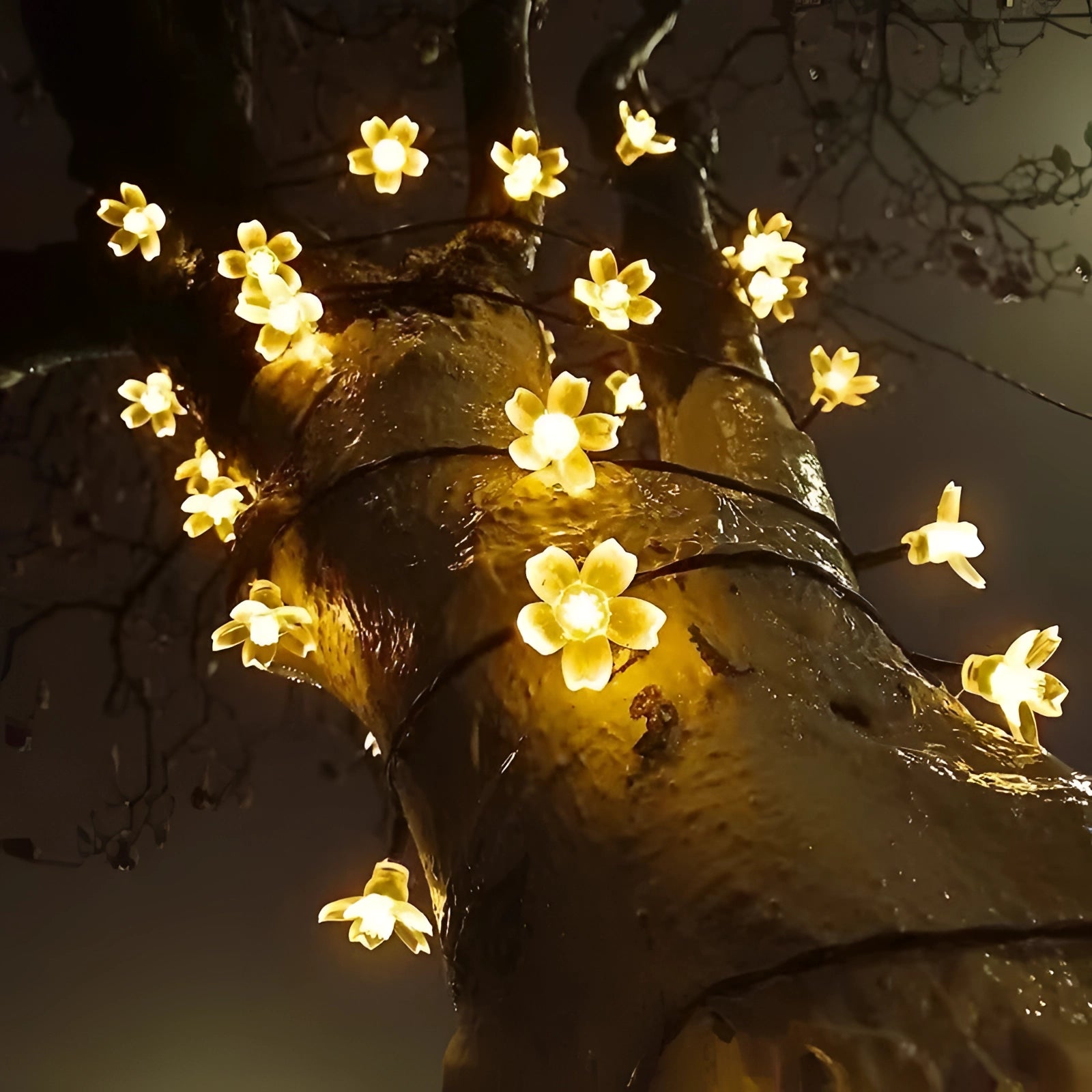LED blossom tree lights in warm white color with 100 LEDs, featuring realistic branches and twigs, suitable for outdoor use, illuminating the night with a soft amber glow.