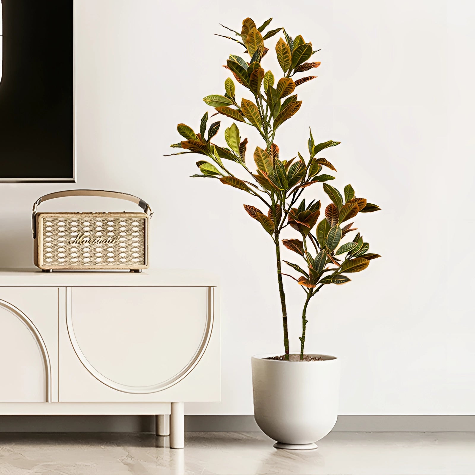 Tall indoor plant with vibrant, colorful foliage in a sleek white pot, accompanied by a picture frame in the background, adding elegance to an interior space.