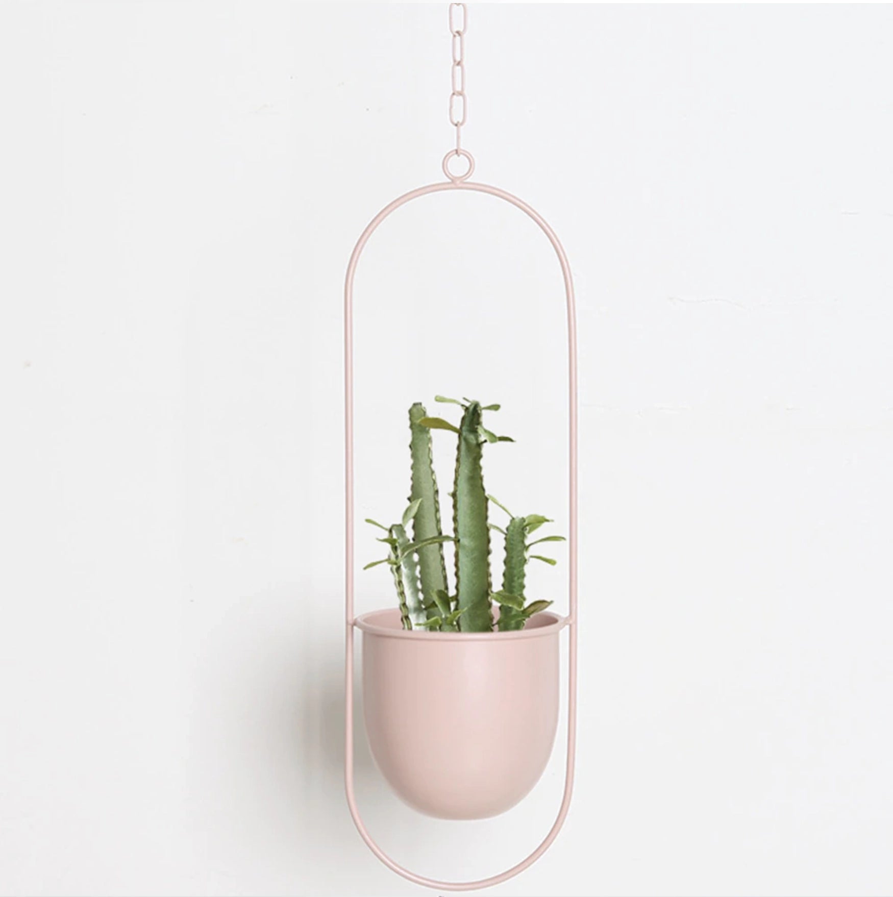 Modern mint-colored, oval-shaped metal hanging plant holder displaying a vibrant houseplant with lush green foliage, ideal for minimalist indoor decor.