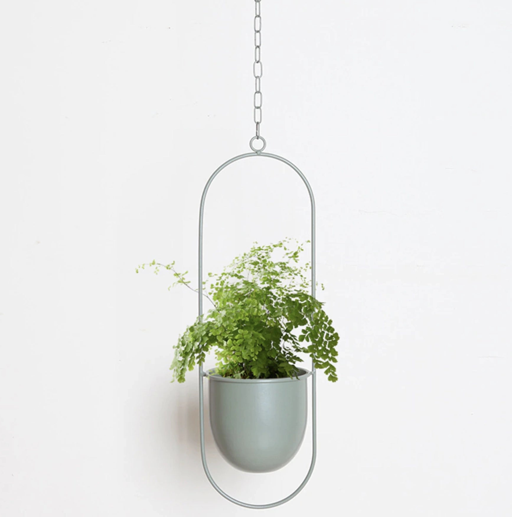 Modern metal hanging plant holder in an oval shape, featuring a cream finish. The holder elegantly displays a vibrant houseplant with green foliage, set against a minimalist decor. It is suspended stylishly, showcasing its contemporary design suitable for indoor spaces.