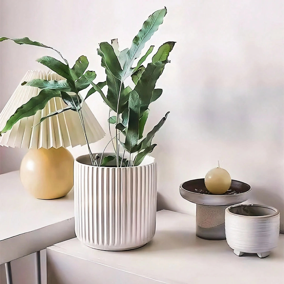 Modern ribbed ceramic planter with a houseplant placed on a wooden table, showcasing Scandinavian design aesthetics.