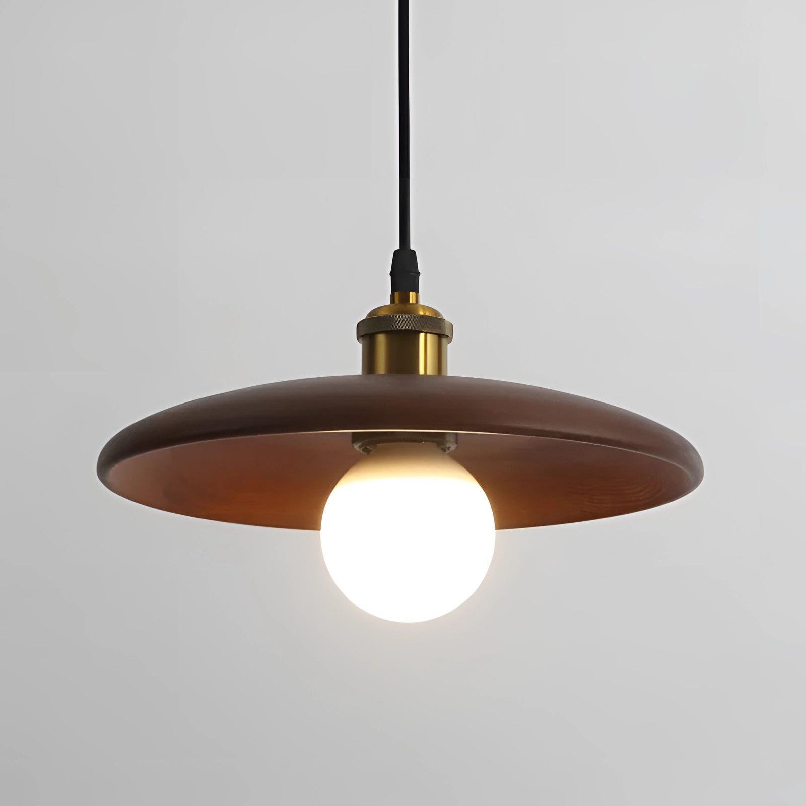 Modern Scandinavian Wooden Pendant Light in Dark Wood with Brass Accents, featuring a circular design and eco-friendly materials, hanging from the ceiling with a light bulb inside.