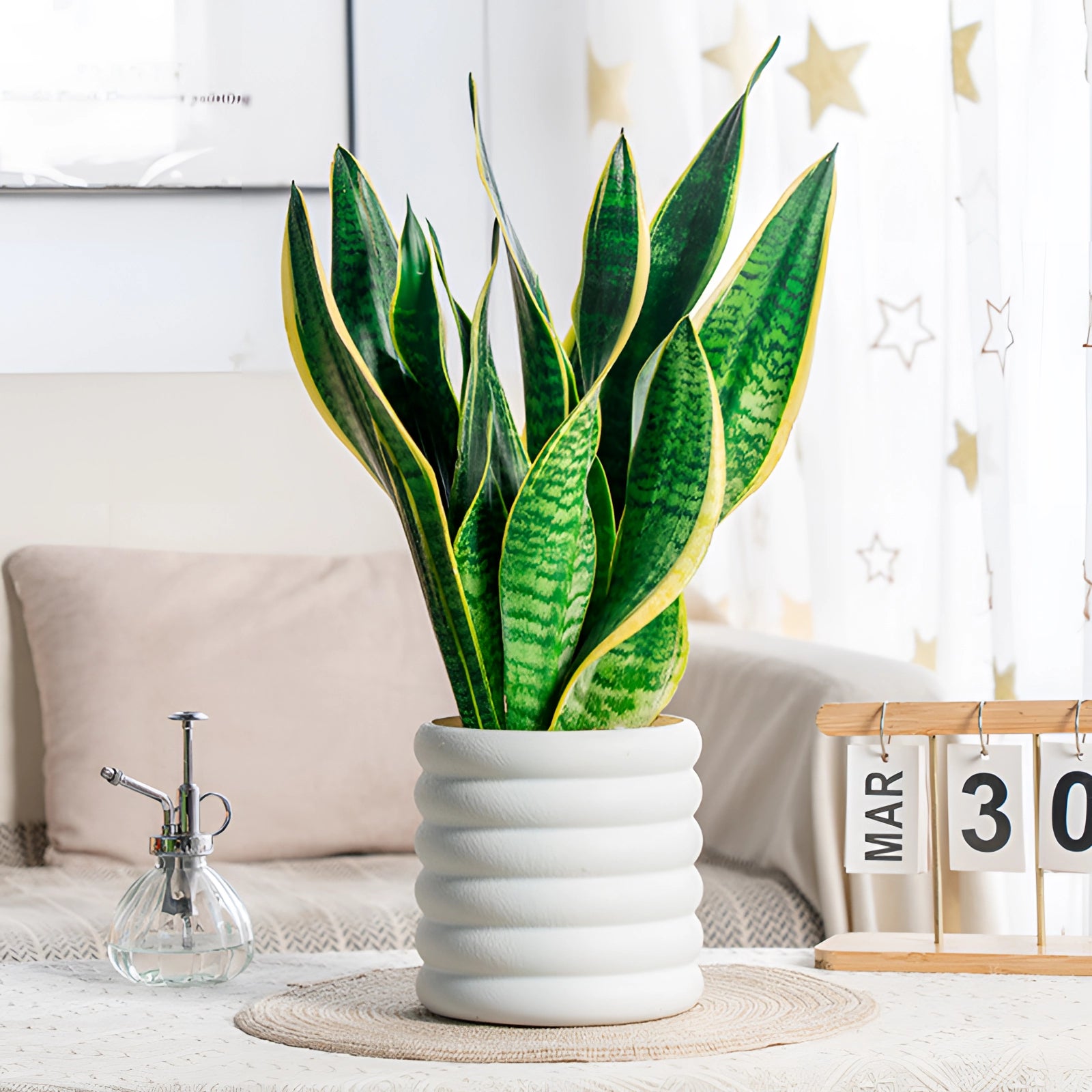 Peace Lily in a white planter placed indoors, surrounded by a clean and modern interior with a window and wall in the background, serving as an air-purifying houseplant and decorative element.