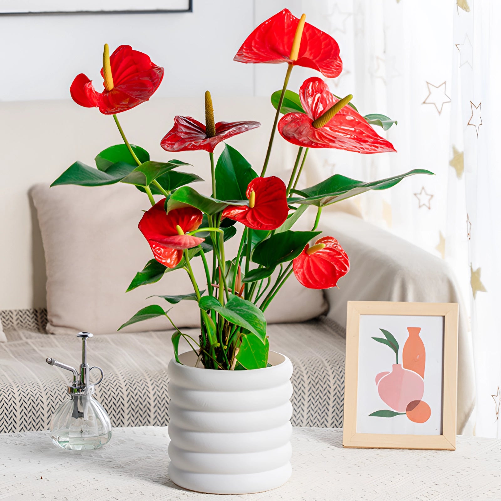 Peace lily plant with lush green leaves and elegant white blooms displayed in a sleek white planter, situated indoors near a window.