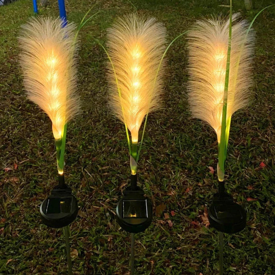 Solar feather garden lights illuminating a grassy landscape, highlighting eco-friendly LED designs with feather-like details in an outdoor setting.