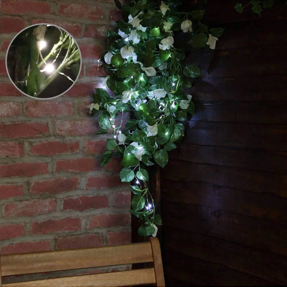 Solar powered outdoor LED fairy lights illuminating a garden setting with plants, flowers, and grass, showcasing their waterproof and eco-friendly features.