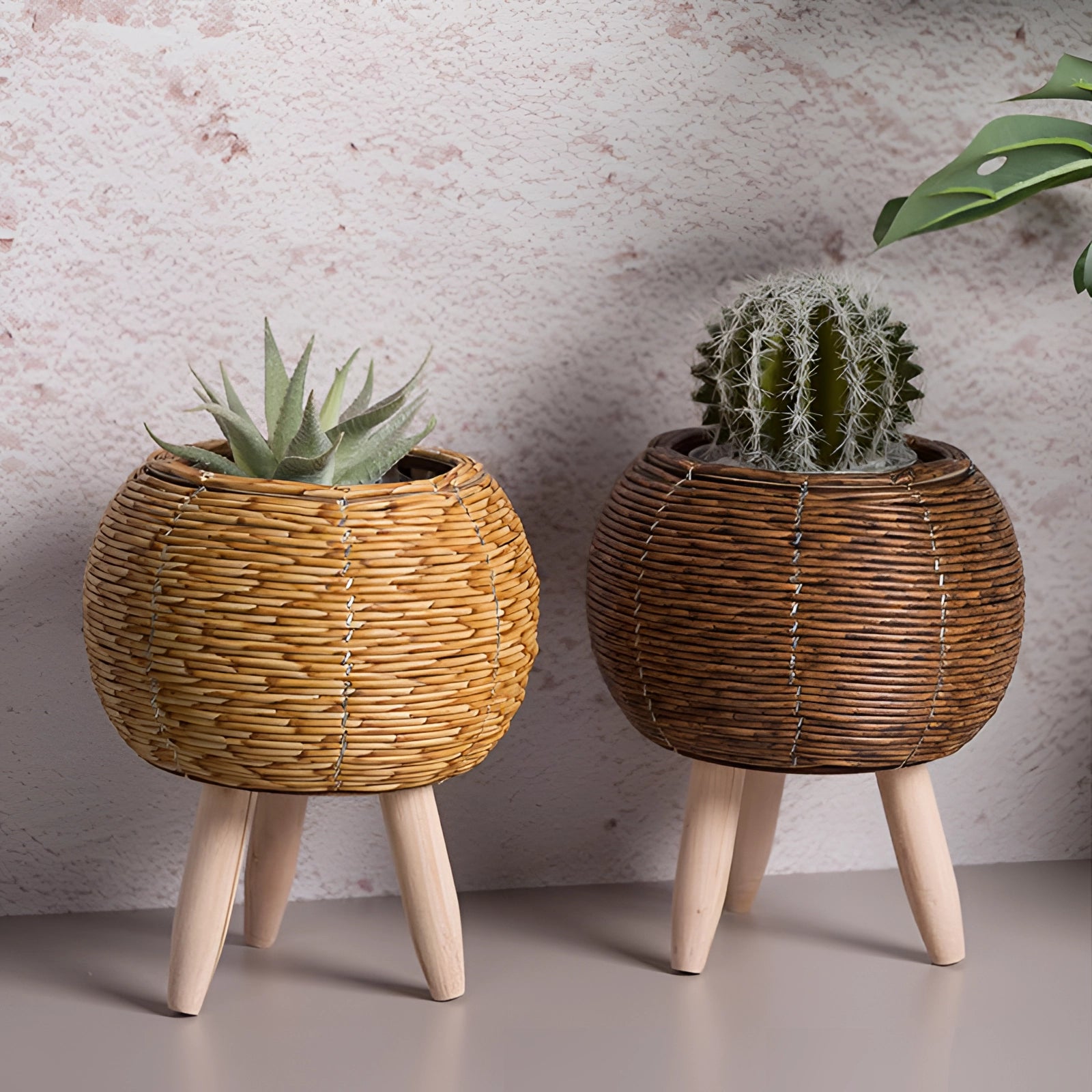 Stylish eco-friendly wicker planter with bamboo stand and legs, featuring a lush terrestrial houseplant placed in a rectangular flowerpot, made from natural materials.
