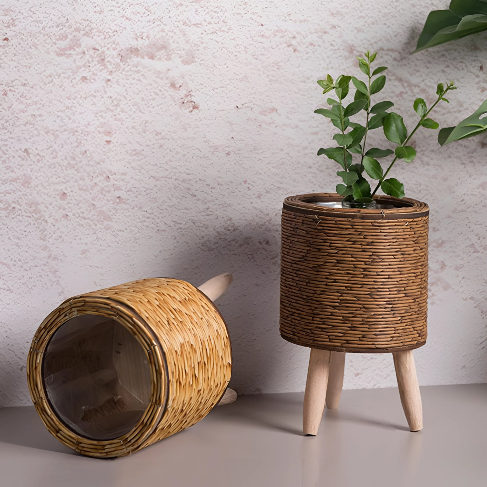 Stylish eco-friendly wicker planter with bamboo stand and legs, featuring a lush houseplant.
