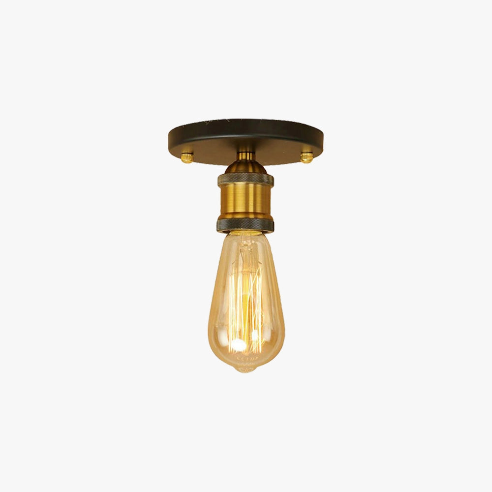 Vintage brass flush mount Edison ceiling fixture with a retro industrial style, showcasing a metal light fixture with an exposed light bulb design mounted on a wooden or metal surface.