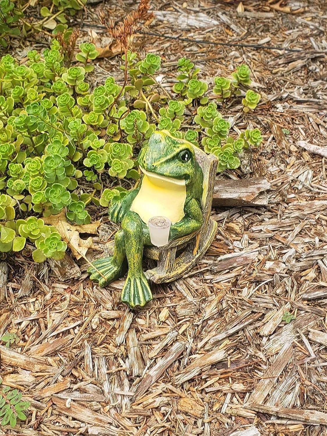 A whimsical green resin frog candle holder placed outdoors among lush greenery and various plants.